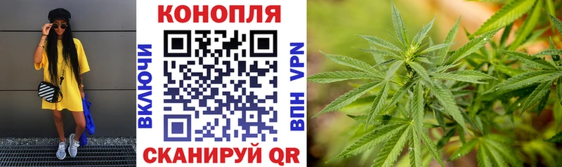 Шишки марихуана сатива  Купить где  Фёдоровский 